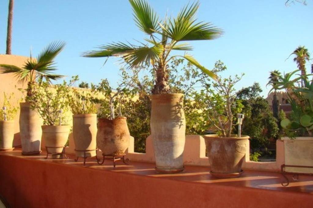 Emplacement N°1 ! Riad Ica Villa Marrakesh Exteriör bild